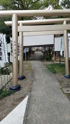 白金龍王社ンボルの水掛龍神